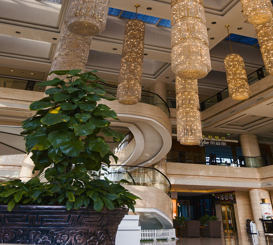 Hotel lobby public space designed for high-traffic guest circulation and shared use