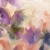 abstract butterfly wing texture in hand painted oil artwork